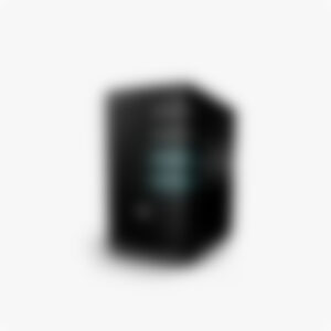 Switch Port 305